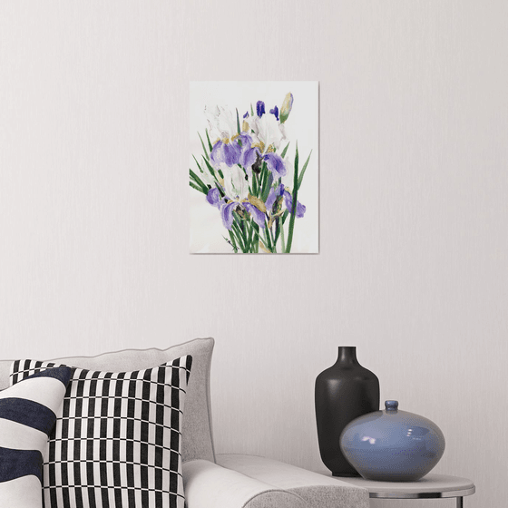 Iris Flowers