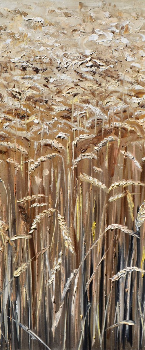Golden Wheat by Valeriia Radziievska