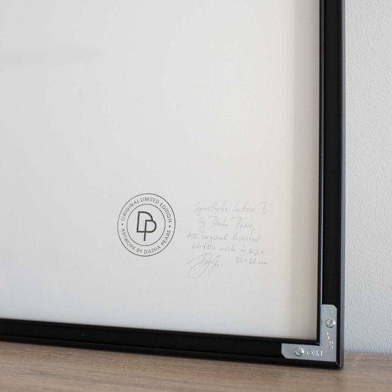Synesthetic Letters - B (Framed)