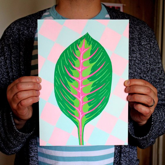 Prayer Plant Maranta Leaf on Unframed A4 Paper