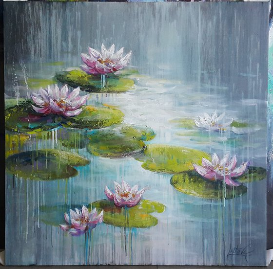 Waterlilies