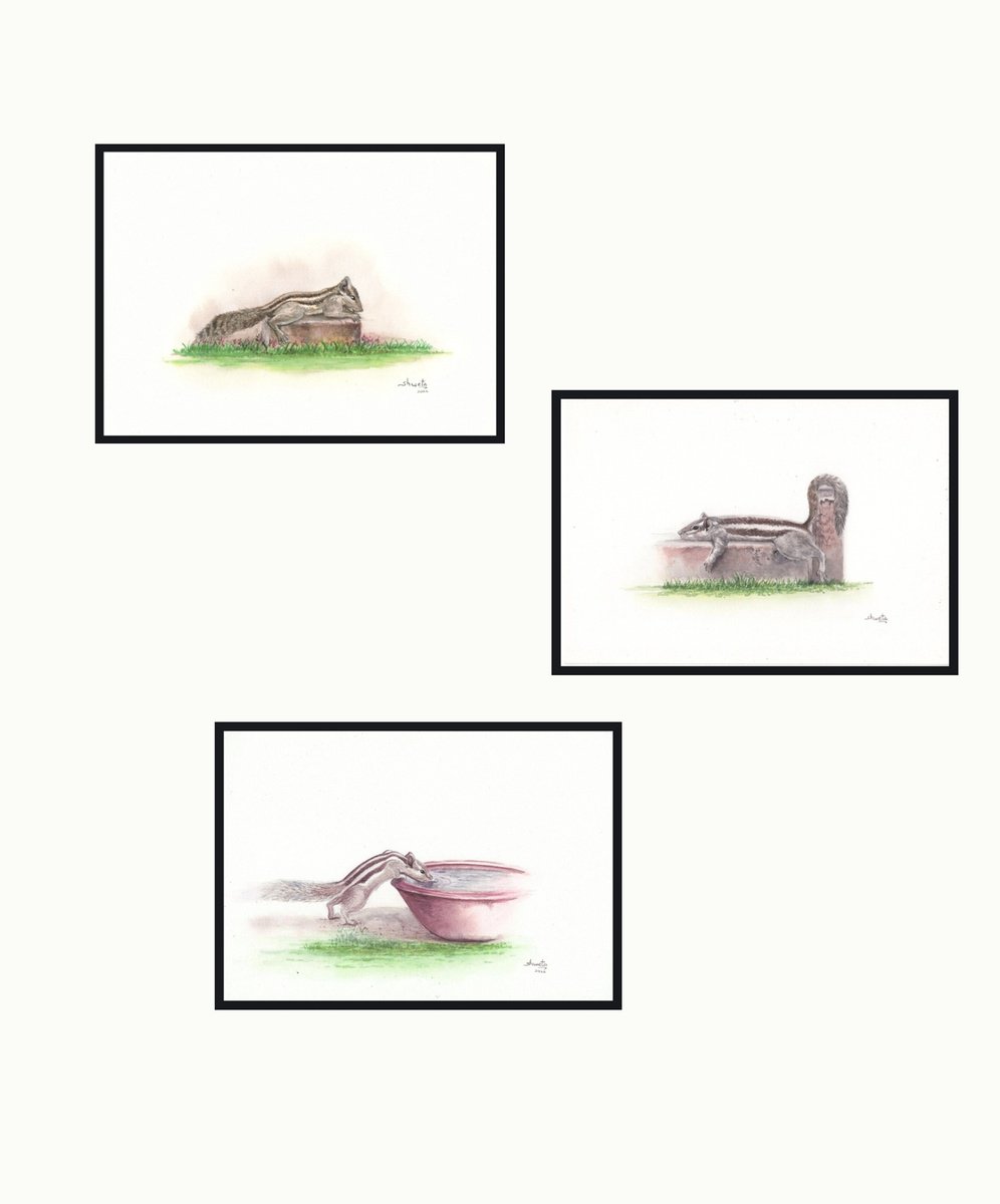 Photorealistic Animal Watercolour By Shweta Mahajan, 7 X 15", Garden Squirrel, Original Artwork