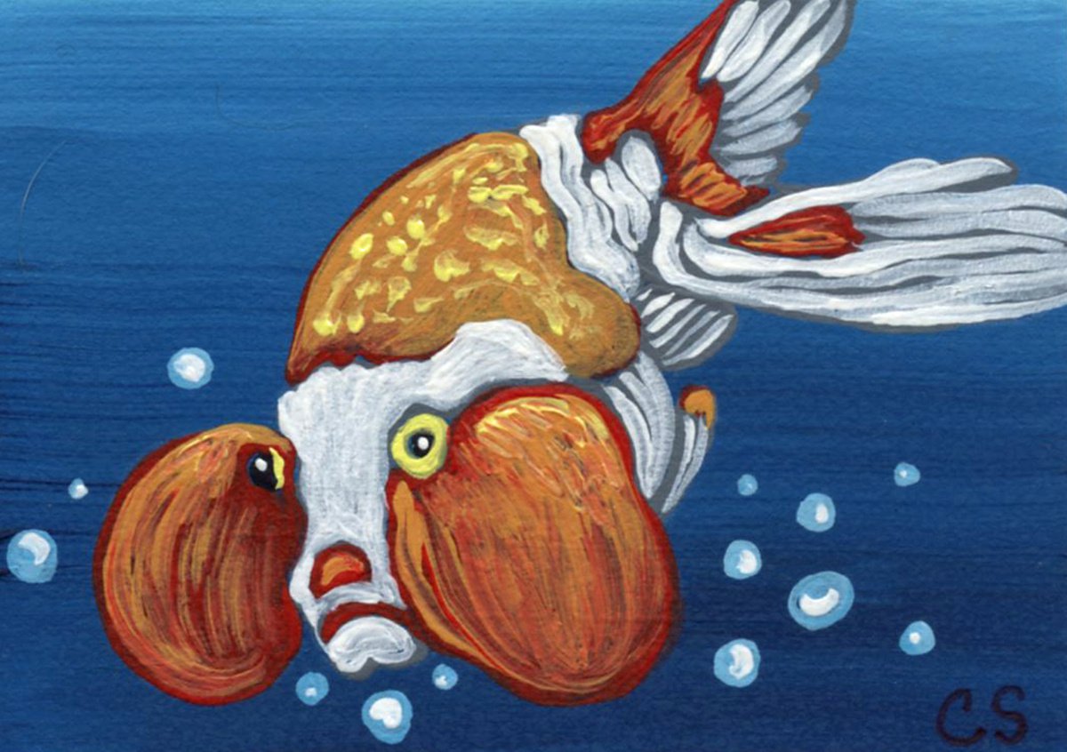 ACEO ATC Original Miniature Painting Orange Bubble Eye Goldfish Pet Art-Carla Smale by carla smale