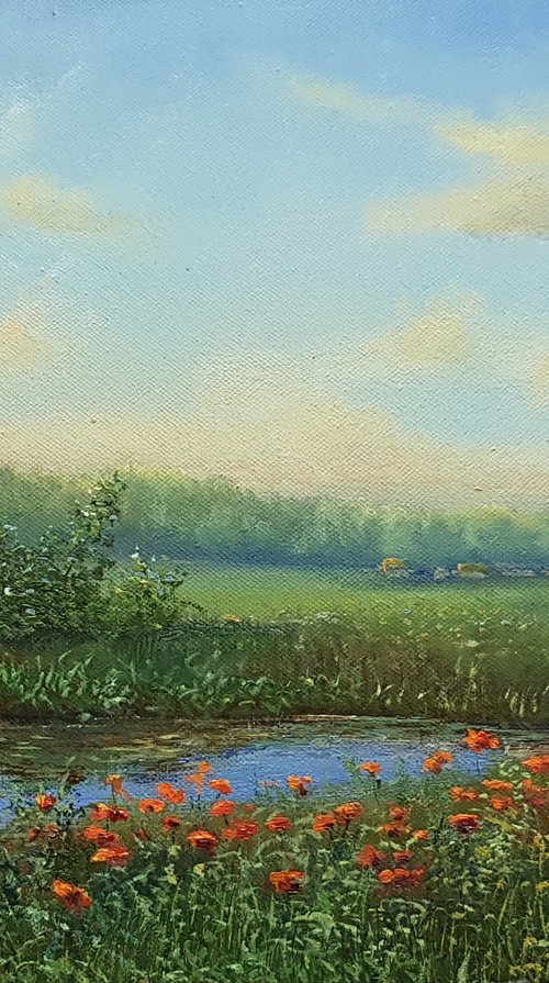 Poppies by Vladimir Jarmolo