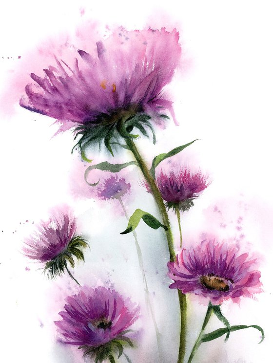 Thistle Flowers - Original Watercolor