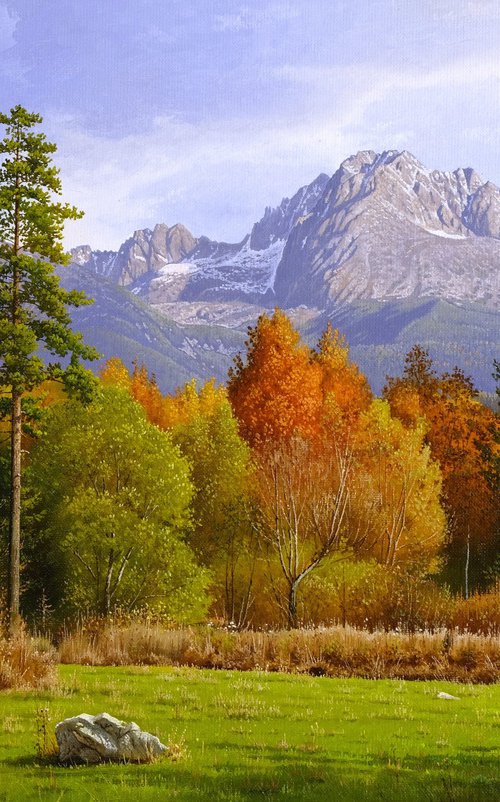 Autumn contrasts by Mlynarcik Emil