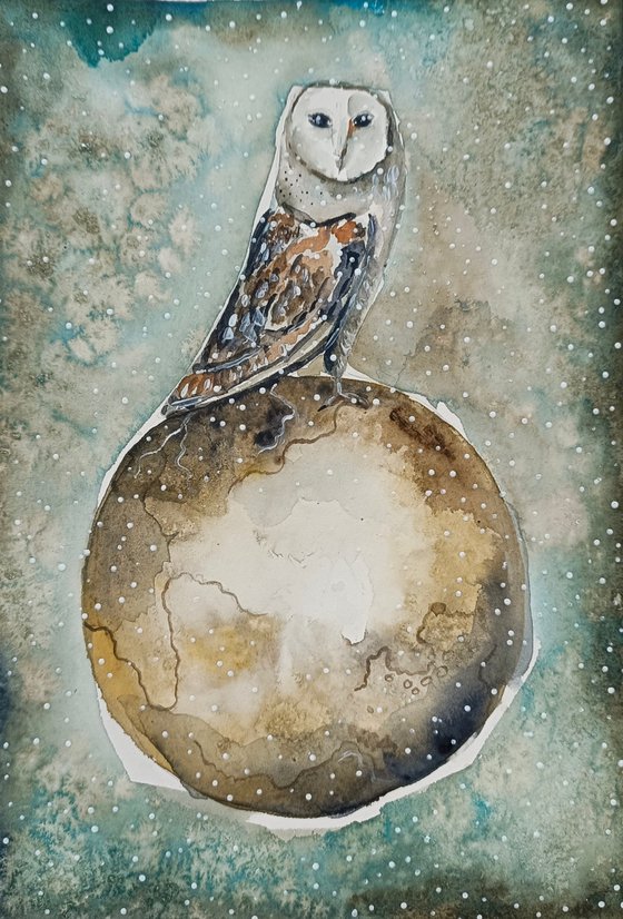The Owl On the Moon