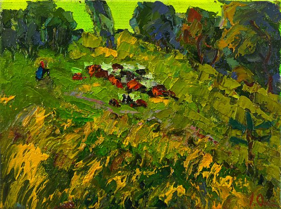 Walk through the meadows