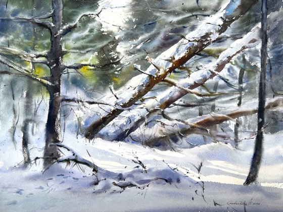 Winter’s Quiet Breath