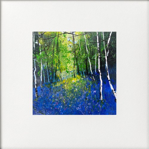 Seasons - Bluebells silver birches & beech trees by Teresa Tanner