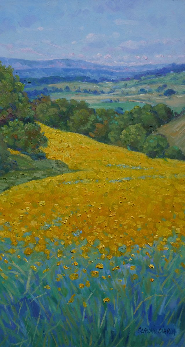 Yellow field in Tuscany by Claudio Ciardi