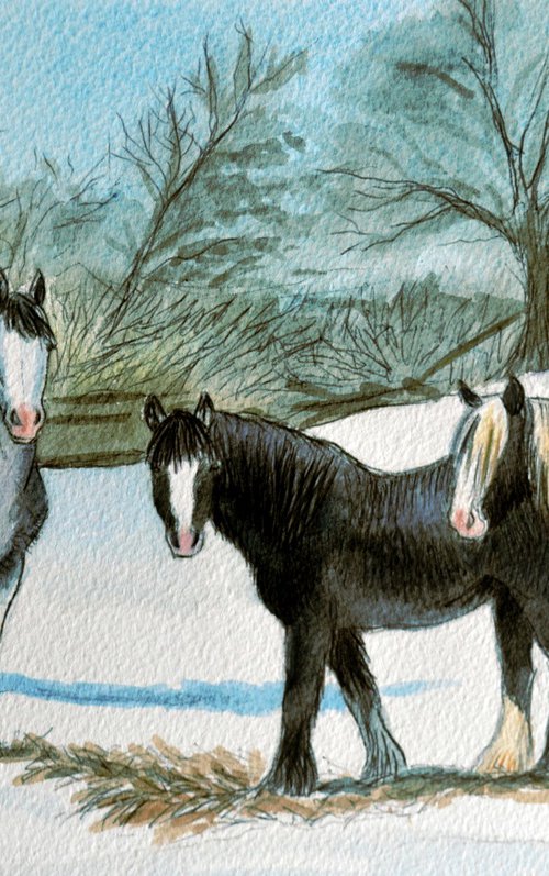 Winter Woollies - Ponies at Black Lane by Joanne Kitson