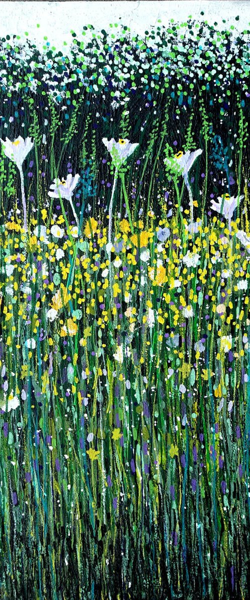 Wildflower Meadow  24 by Roz Edwards