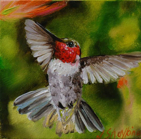 Hummingbird Miniature Art