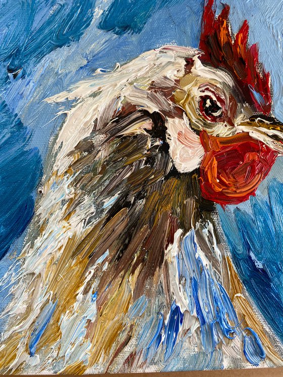 Domestic chicken portrait
