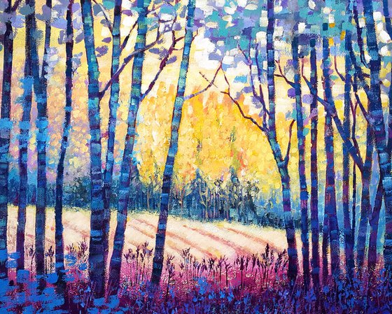 Sunbeams in the forest