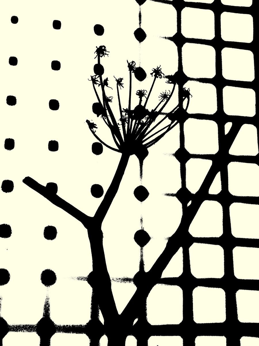 Abstract Botanical Photograph By Petr Strnad, 12 X 16", Quick Notes #40, Original Artwork
