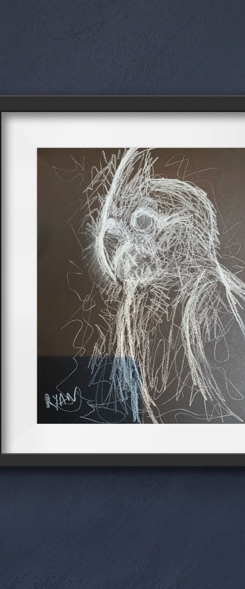 Cockatiel Settling In by Ryan  Louder