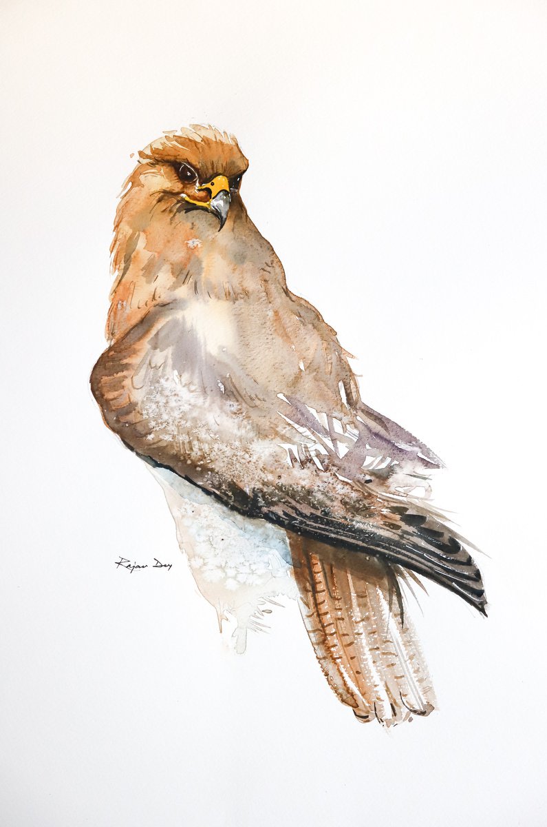 Birds Of Prey A3-4 by Rajan Dey
