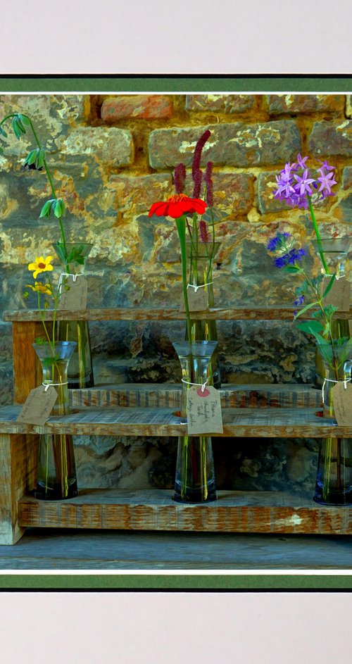 Flowers in Vases by Robin Clarke