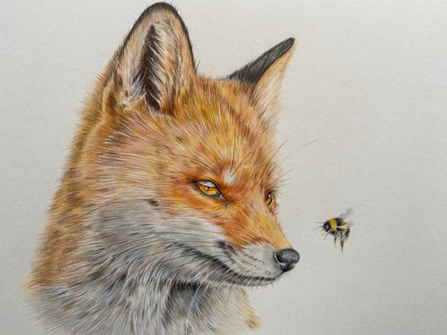 The fox and the bee by Bethany Taylor