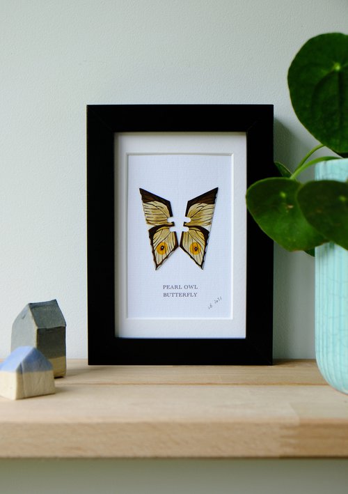 Pearl Owl butterfly by Lene Bladbjerg