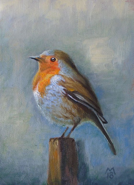 Robin redbreast