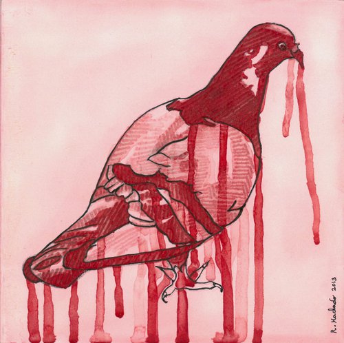 Pigeon by Ricardo Machado