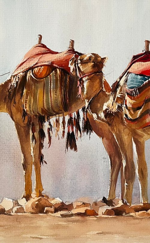 "Nomadic Spirit: Dromedaries of the Desert" by Alisher Matchanov