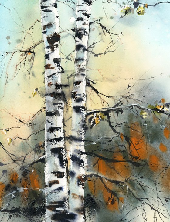 Birch Trees