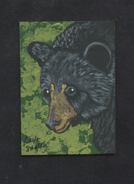 Black Bear