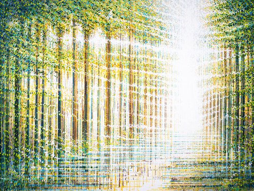Light Fills the forest by Marc Todd
