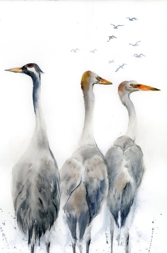 Three herons