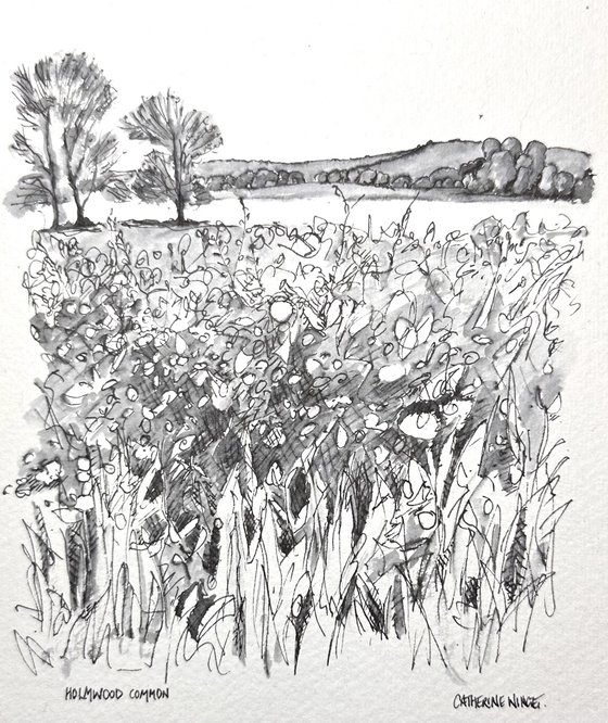 Holmwood Common in Spring. Surrey. Pen & Ink