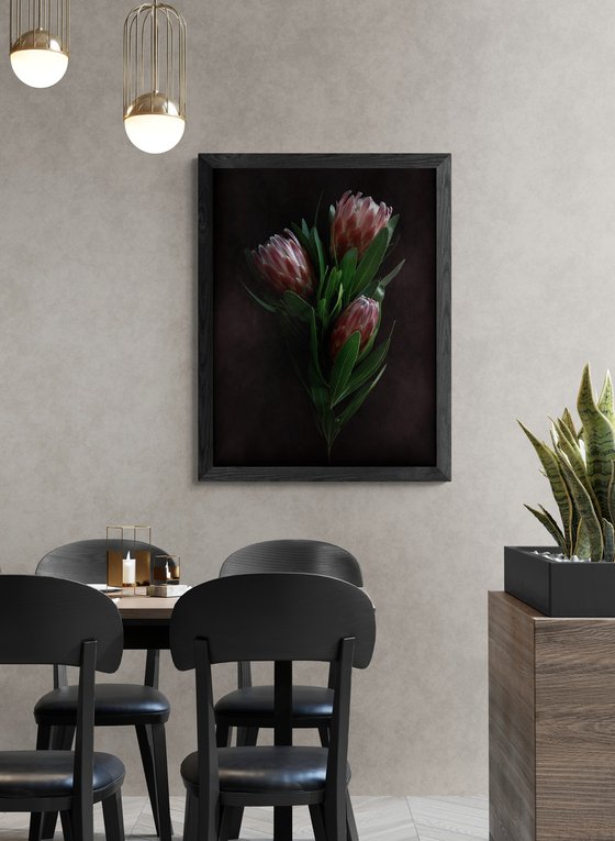 Dusty Pink Proteas