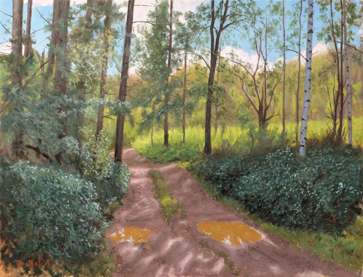 Impressionistic Landscape Oil Painting By Dejan Trajkovic, 31 X 25, Muddy Puddles, Original Artwork