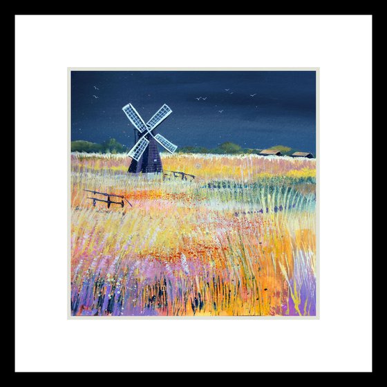 Wicken Fen - Storm Sky