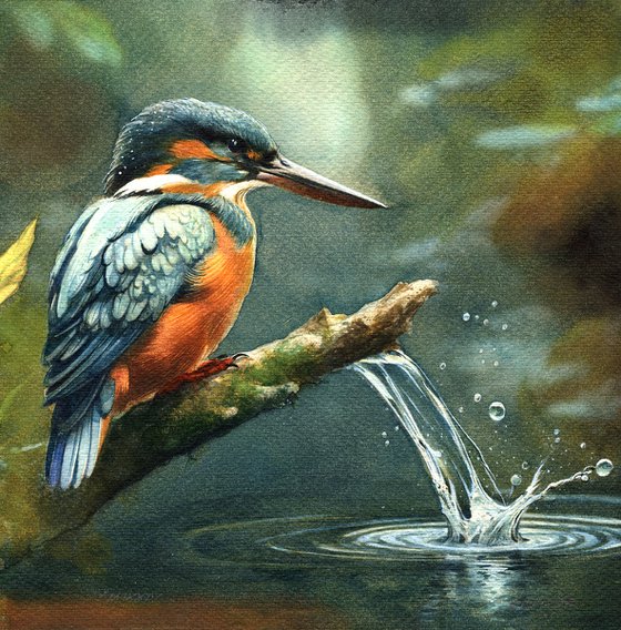 Bird CCXLIVI - Kingfisher