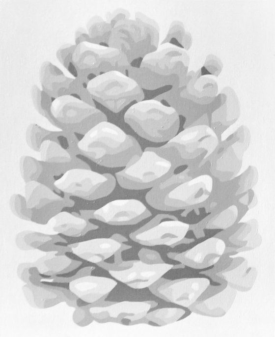 Fir-cone