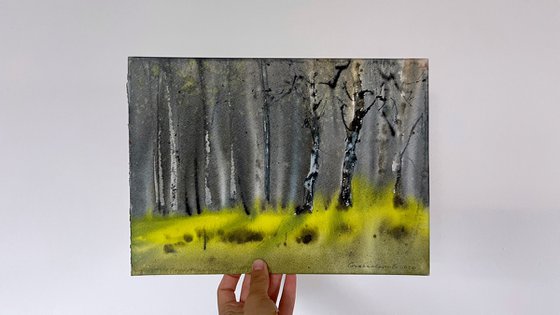 Birch Grove #5