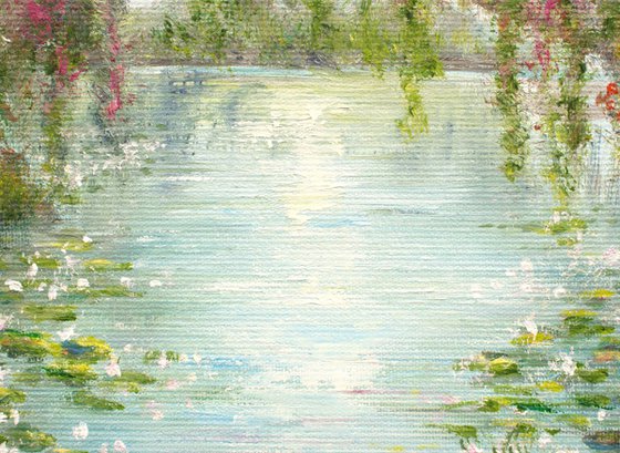 Water lily pond