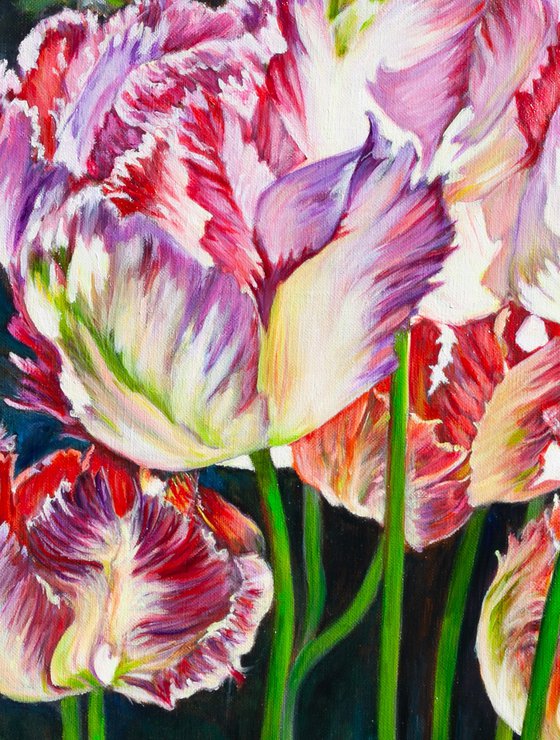 Tulips In The Sunlight
