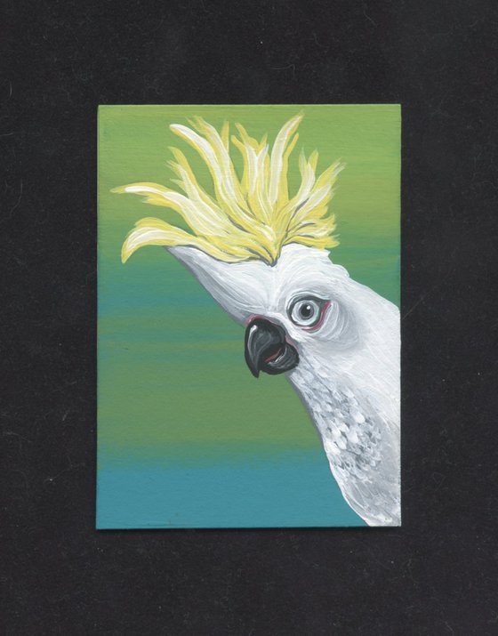 ACEO ATC Original Miniature Painting Sulfur Crested Cockatoo Parrot Pet Bird Art-Carla Smale