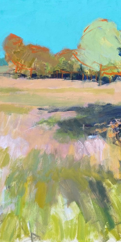 The Meadow in Summer by Chrissie Havers
