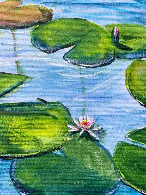 Water Lilies 4