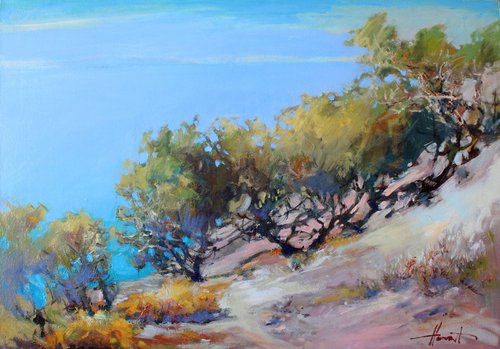 Mediterranean cedars by Henadzy Havartsou
