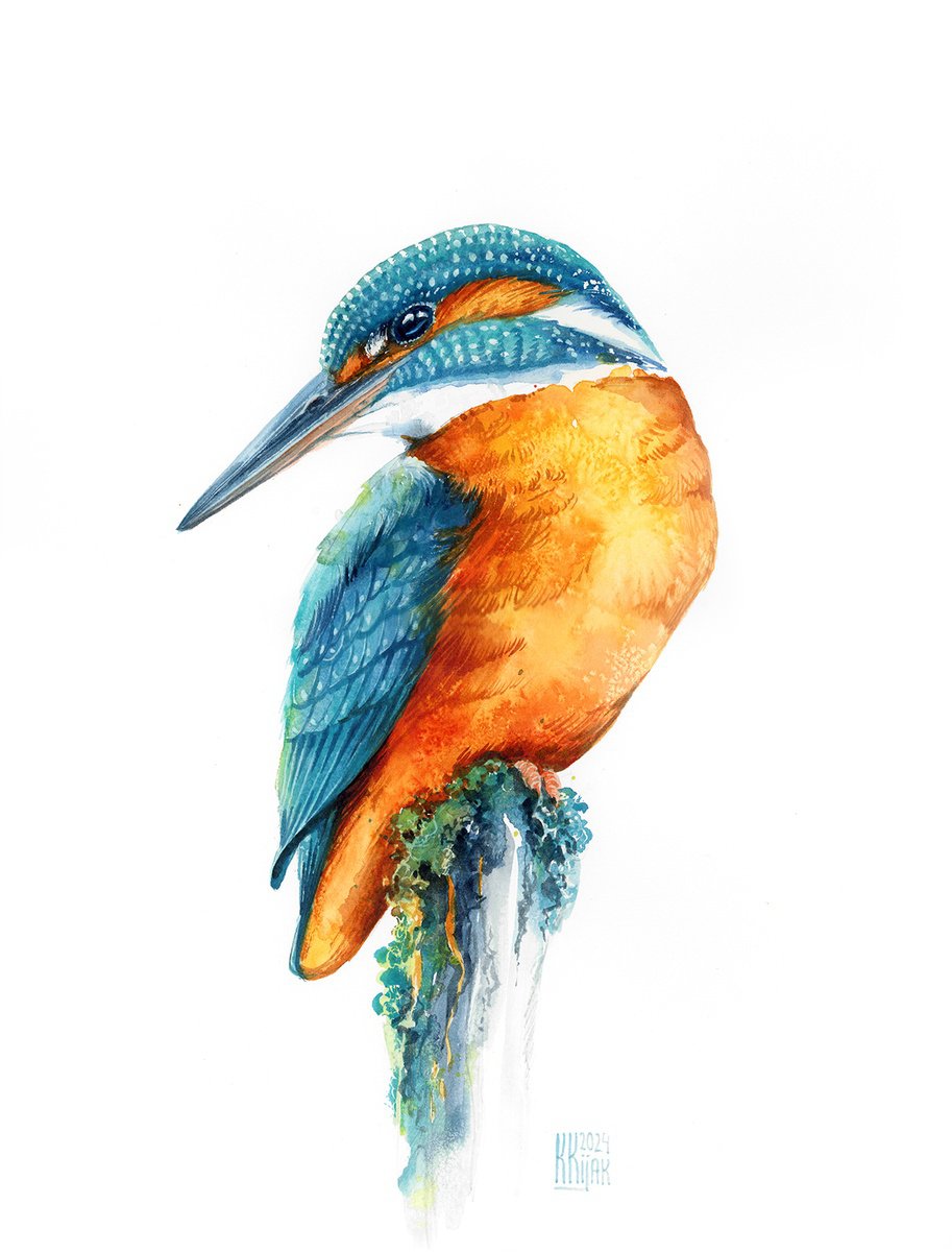 Kingfisher by Karolina Kijak