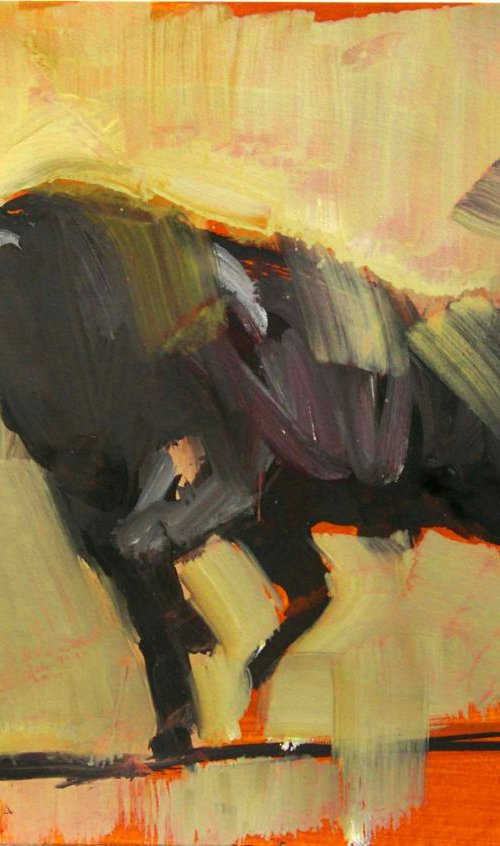 Toro VIII (study) by Zil Hoque