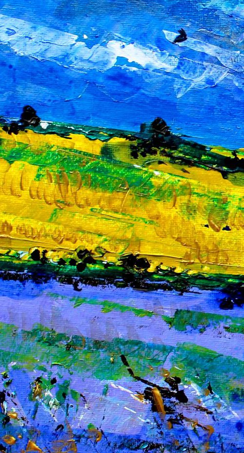 Summer Fields III by Paul J Best