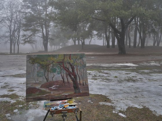 Landscape in the fog